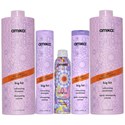 amika: volume collection salon offer 11 pc.