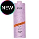 amika: big hit volumizing shampoo Liter