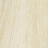 ELEVEN Australia 10.0/10.N- Natural Lightest Blonde 2 Fl. Oz.